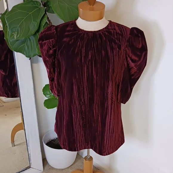 Size Large Leyden Velvet Puff Sleeves Women's Blouse Velvet Dark Burgundy Fall - Picture 2 of 9